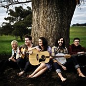 The Paper Kites - List pictures