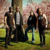 Crown Of Thorns - List pictures