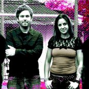 Staut - List pictures