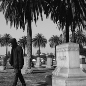 Gossamer - List pictures