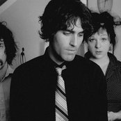 Vandaveer - List pictures