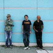 Terranova - List pictures