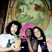 Noisettes - List pictures