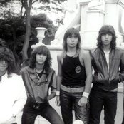 Viper - List pictures