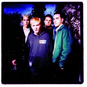 The Dingees - List pictures