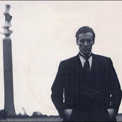 The Limit - List pictures