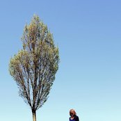 Joan Shelley - List pictures