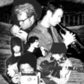 Valley Of The Giants - List pictures