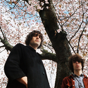 The Proper Ornaments - List pictures