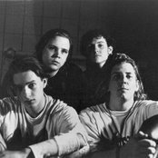 Grey Daze - List pictures