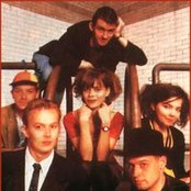 Sugarcubes - List pictures