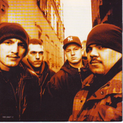 Madball - List pictures