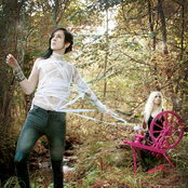 The Deer Tracks - List pictures