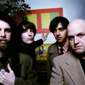 Lilys - List pictures