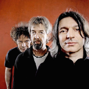 Young Gods - List pictures