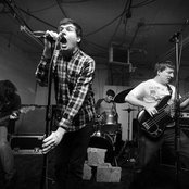 Night Birds - List pictures