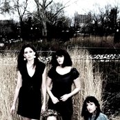 Ladies Of The Canyon - List pictures