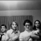 Marmoset - List pictures