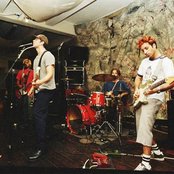 Polar Bear - List pictures