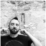 Fink - List pictures