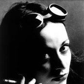 Husky - List pictures