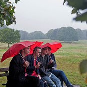 Palma Violets - List pictures