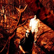 Thumlock - List pictures