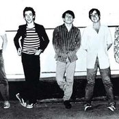 The Members - List pictures