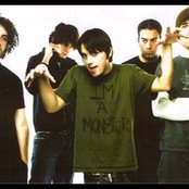 Finch - List pictures