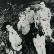 The Woodentops - List pictures