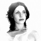 Bobo In White Wooden Houses - List pictures