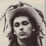 Dead Or Alive - List pictures