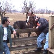 Transatlantic - List pictures