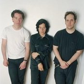 Thalia Zedek - List pictures