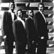 Blue Jays - List pictures