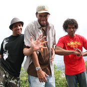 The Procussions - List pictures