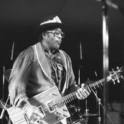Bo Diddley - List pictures