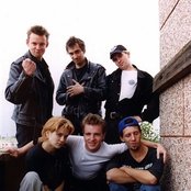 Êîðîëü È Øóò - List pictures