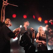 Skylark - List pictures