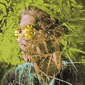 Unknown Mortal Orchestra - List pictures