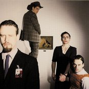 The Cows - List pictures