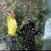 Das Pop - List pictures