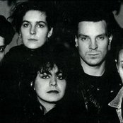 Xmal Deutschland - List pictures