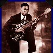 B.b. King - List pictures