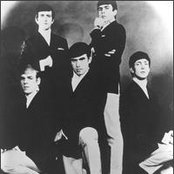 Dave Clark Five - List pictures
