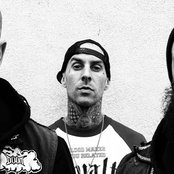 Transplants - List pictures