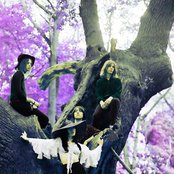 Purson - List pictures