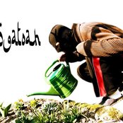 Alligatoah - List pictures