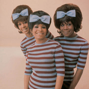 The Marvelettes - List pictures