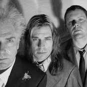 The Damage Manual - List pictures